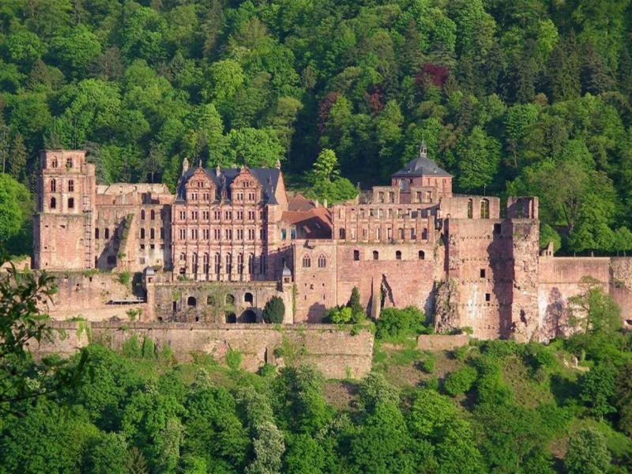 Alsace Black Forest
